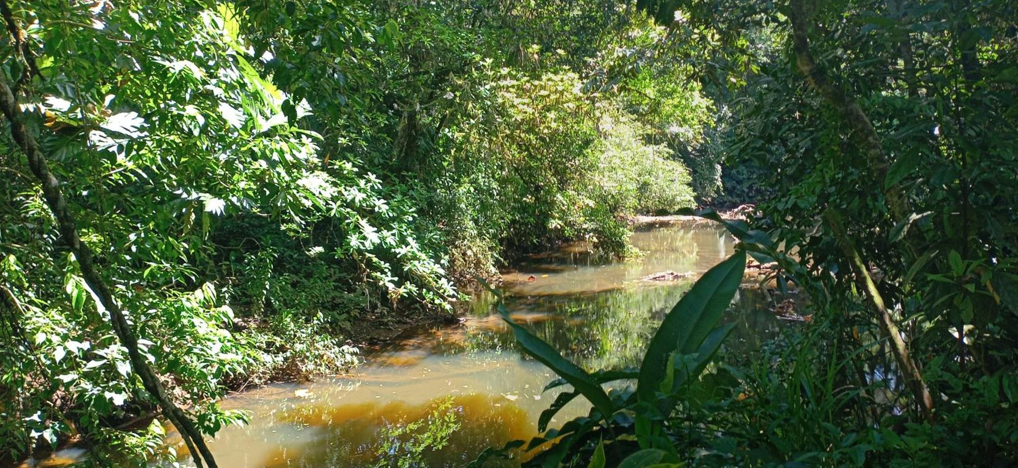 Puerto Viejo de Sarapiqui Finca La Paz - Sarapiqui מראה חיצוני תמונה